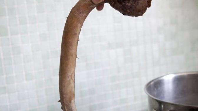 Boğa Penisi Yemek İster miydiniz?