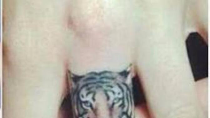 Aslan dövmesi mi Kaplan mı?