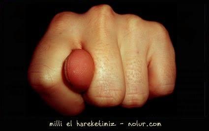 Milli el hareketimiz hakkinda ne dusunuyorsunuz ?