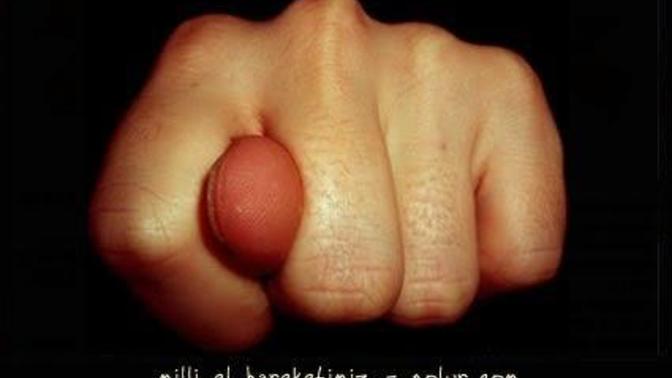 Milli el hareketimiz hakkinda ne dusunuyorsunuz?