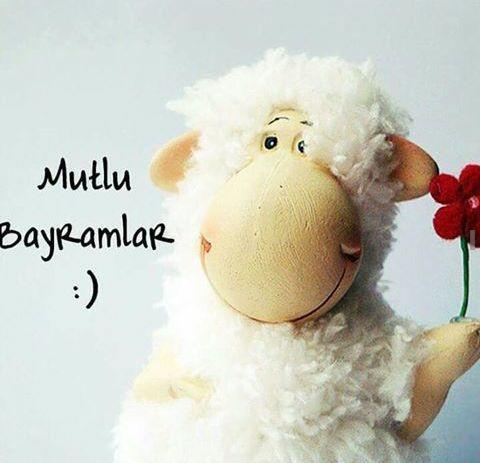 🐴🐮🐂🍬🍭Herkese iyi mutlu bayramlar :) Nasıl geçiyor bayraminiz ? Kavurmalar yendi mi 😋 ?