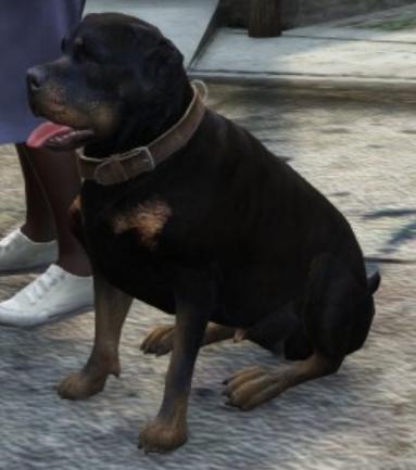 GTA V oynayanlar, favori karakteriniz hangisi?
