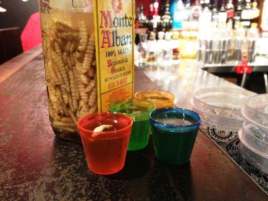 Mezcal (kurtlu tekila)'yı bilen var mı?
