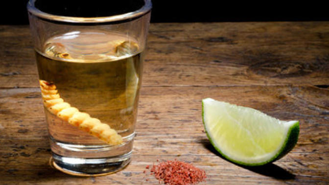 Mezcal (kurtlu tekila)'yı bilen var mı?