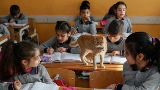 Okulun ilk günü serbest kıyafetle mi gidilir?