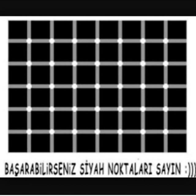Resimde kaç tane siyah nokta var?