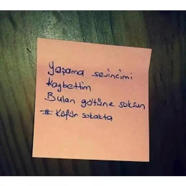 Şiir sokakta mı Küfür sokakta mı?