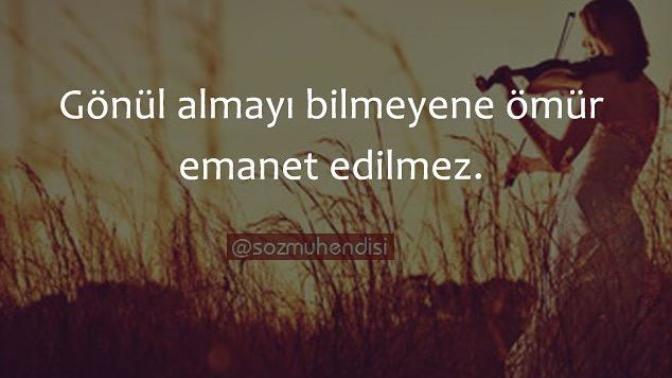 İnsanlar neden bu kadar zalim?
