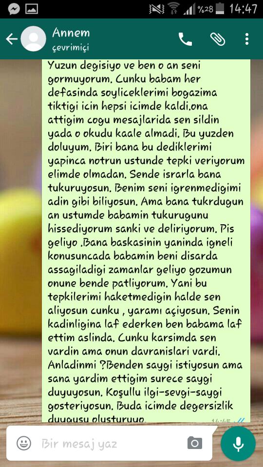 Annemle sabah kavga ettik ve ona bir mesaj attim?