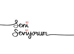 seni seviyorum
