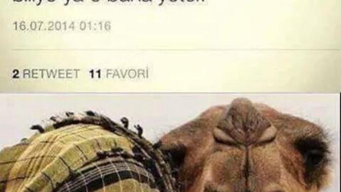 Ateistim ama kimseye kanıtlamak zorunda değilim Allah biliyor?