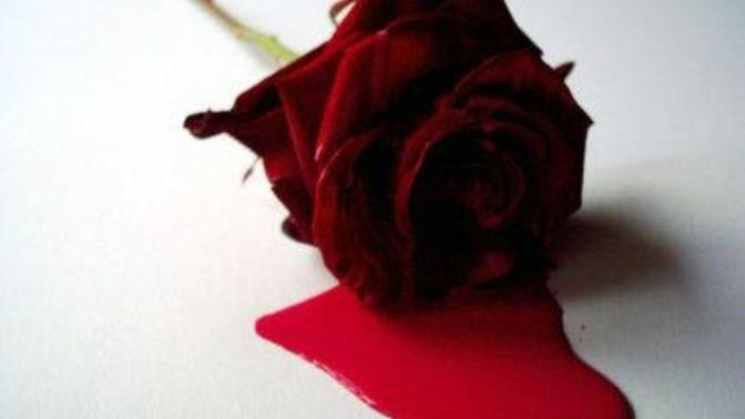 Hic kanayann gule etiketlendiniz mi🌹🌹🌹😎😎💪💪💪✌✌✌👍👍?
