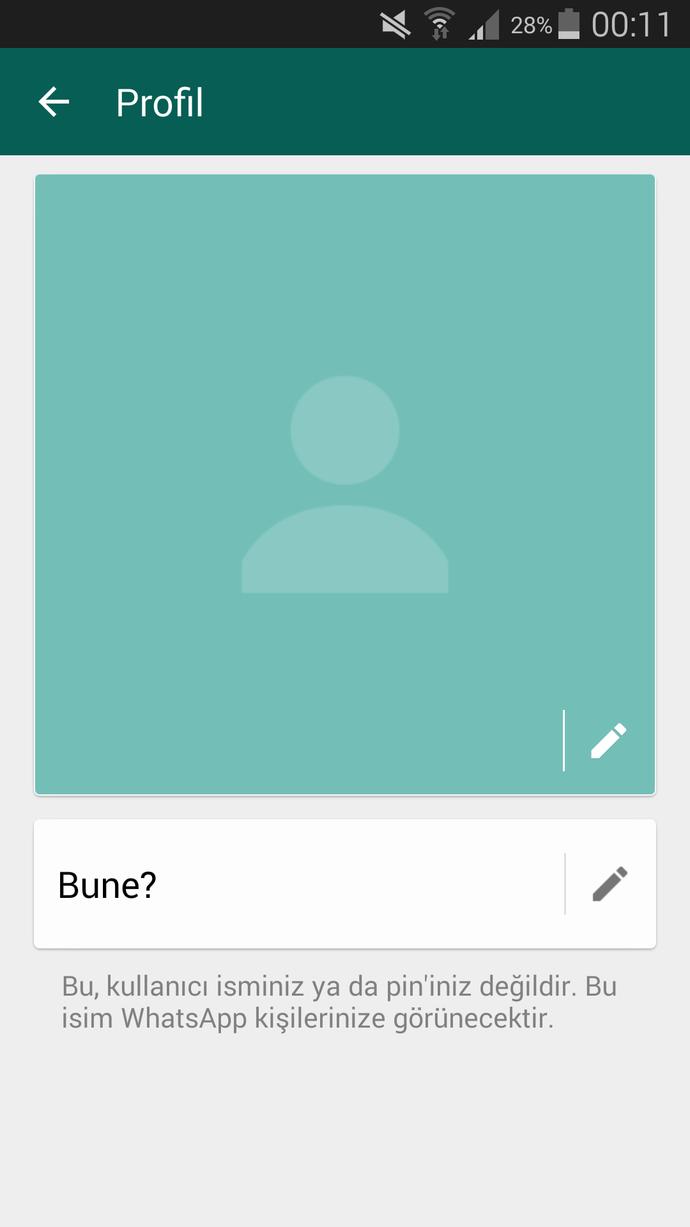 arkadaslr bu whatsapp pp nin altinda ki yazi ne oluyor ?