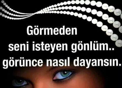 Yüzünü hiç görmeyip sesini hiç duymadığınız birini sadece sözlernden etkilenerk sever misinz?