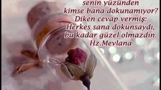 Hiç bir dil özlemin ağırlığını kaldıracak güçte değil. O yüzden, insan özledikçe sessizleşir öylemi?