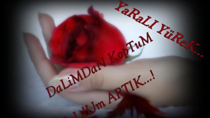 Sizi de zamanında kanayan gül resmine etiketledilermi :D :D?