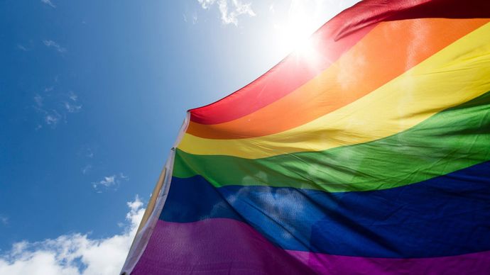 LGBT tam anlamıyla ne demek? Amaç nedir?