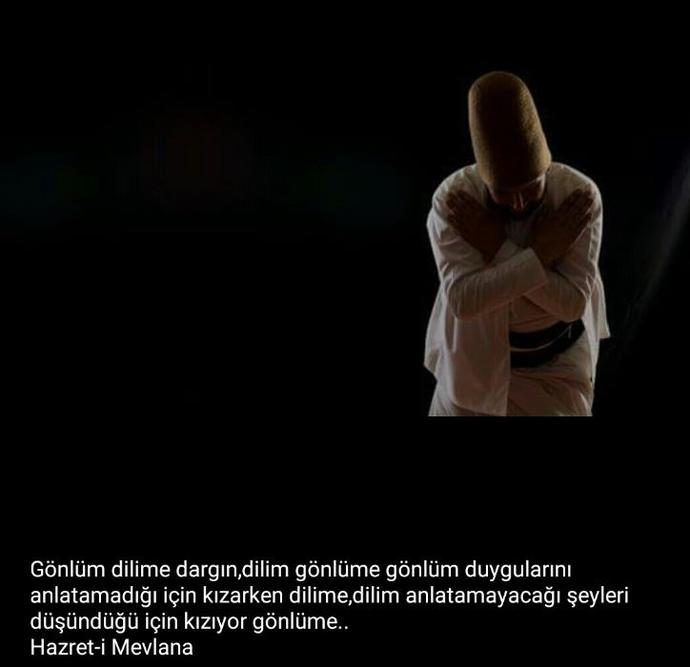 Gönlüm dilime dargın. gönlüm dilime dediğiniz oldumu hiç ?