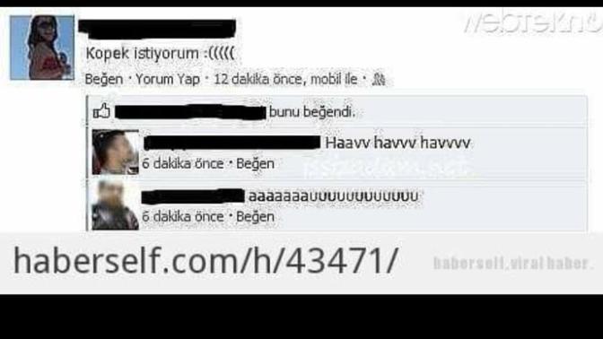 Bu caps hakkında ne düşünüyorsunuz?