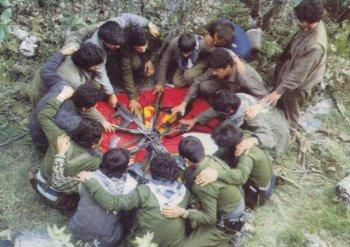 PKK TERÖR ÖRGÜTÜ NASIL BİTER?