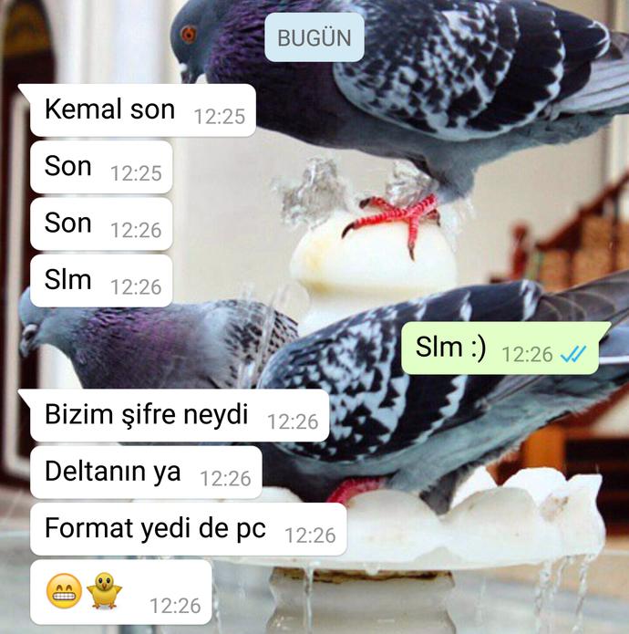 Whatsapp'ta mesajlaşırken, fotoğraftaki gibi komik durumla karşılaştınız mı :D ?