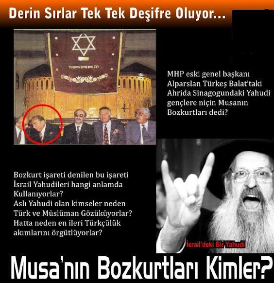 Musa'nın Bozkurt'ları?