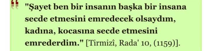 Bu ayet  ya da  hadislerin açıklamasını yapar mısınız?