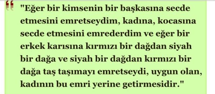 Bu ayet  ya da  hadislerin açıklamasını yapar mısınız?