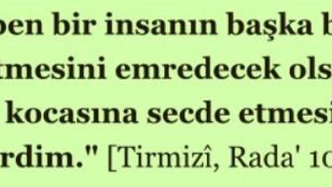 Bu ayet  ya da  hadislerin açıklamasını yapar mısınız?