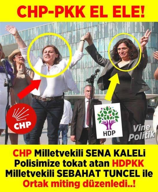 Gördüğümüz gibi hdp ve chp dost ve değiller mi? Chpye oy atıp hdpden nefret ediyor musun?