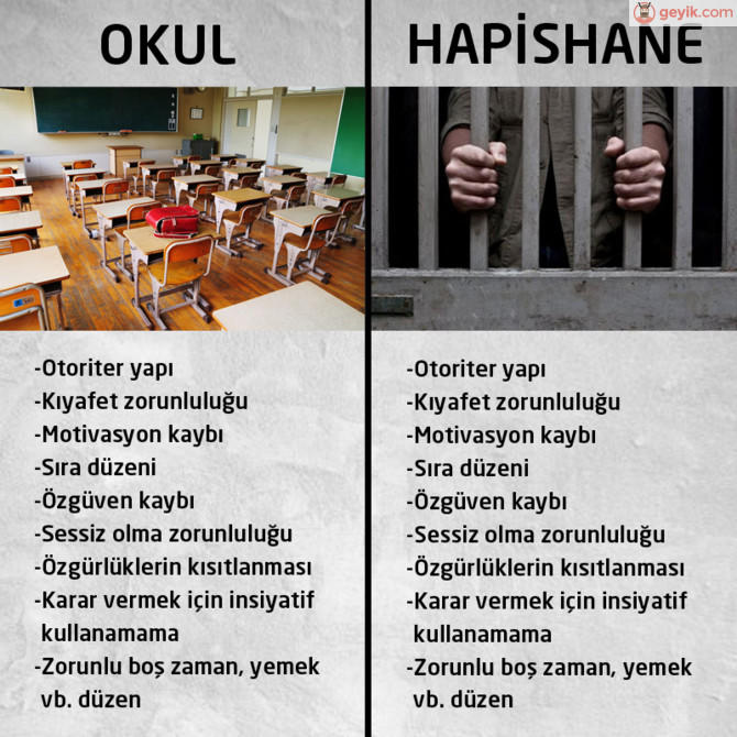 Okul ve Hapishane arasında ki benzerlikler neler ?