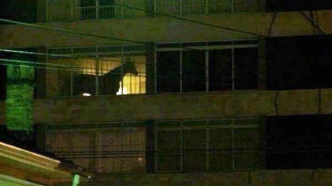 Evde At mı beslenir?