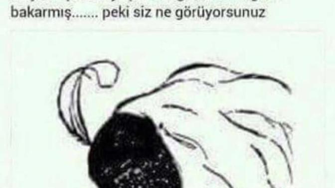 Yapilan arastirmaya gore asagidaki resimde?