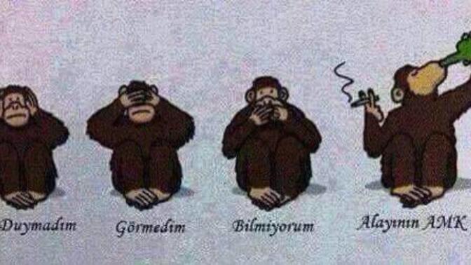 Bu seçimde 4. maymun olmaya ne dersiniz?
