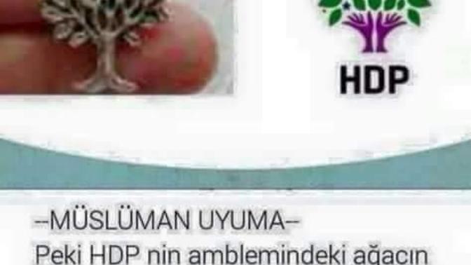 Yahudi Garat ağacı ile hdp ampleminin bağdaşmasına ne diyeceksiniz (resimli)?