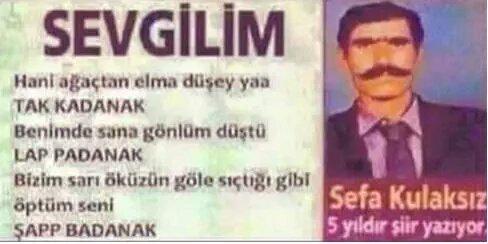 Varmi sizin icin siir yazan ya da sizin sevdiginize yazdiginiz siiler?