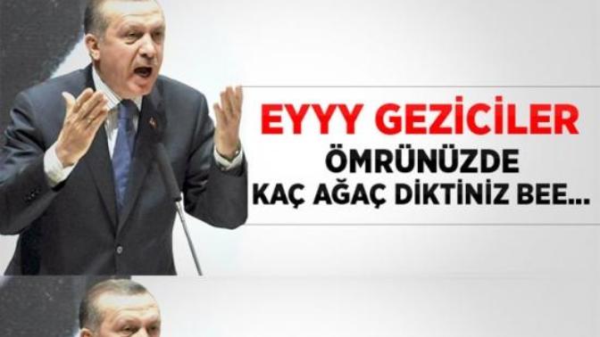 Gezi parkında kaç ağaç kesildi?