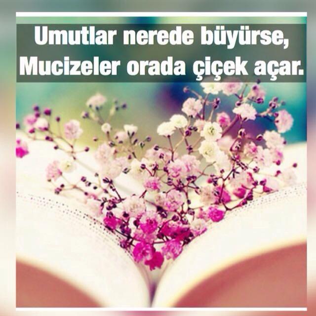 Mucizeler nerde çiçek açar?