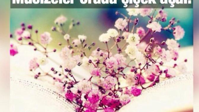 Mucizeler nerde çiçek açar?