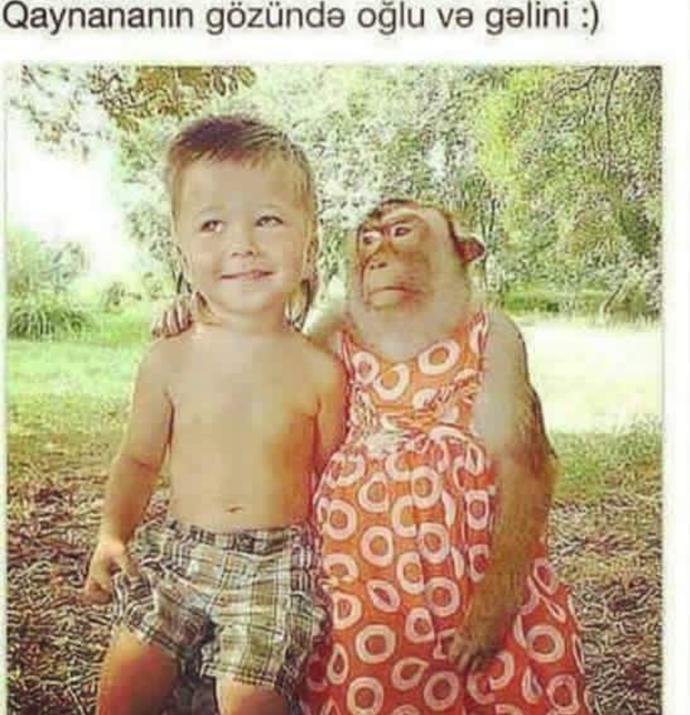 Bir kaynana gözüyle sizce gelin neye benzetilir 🤔?
