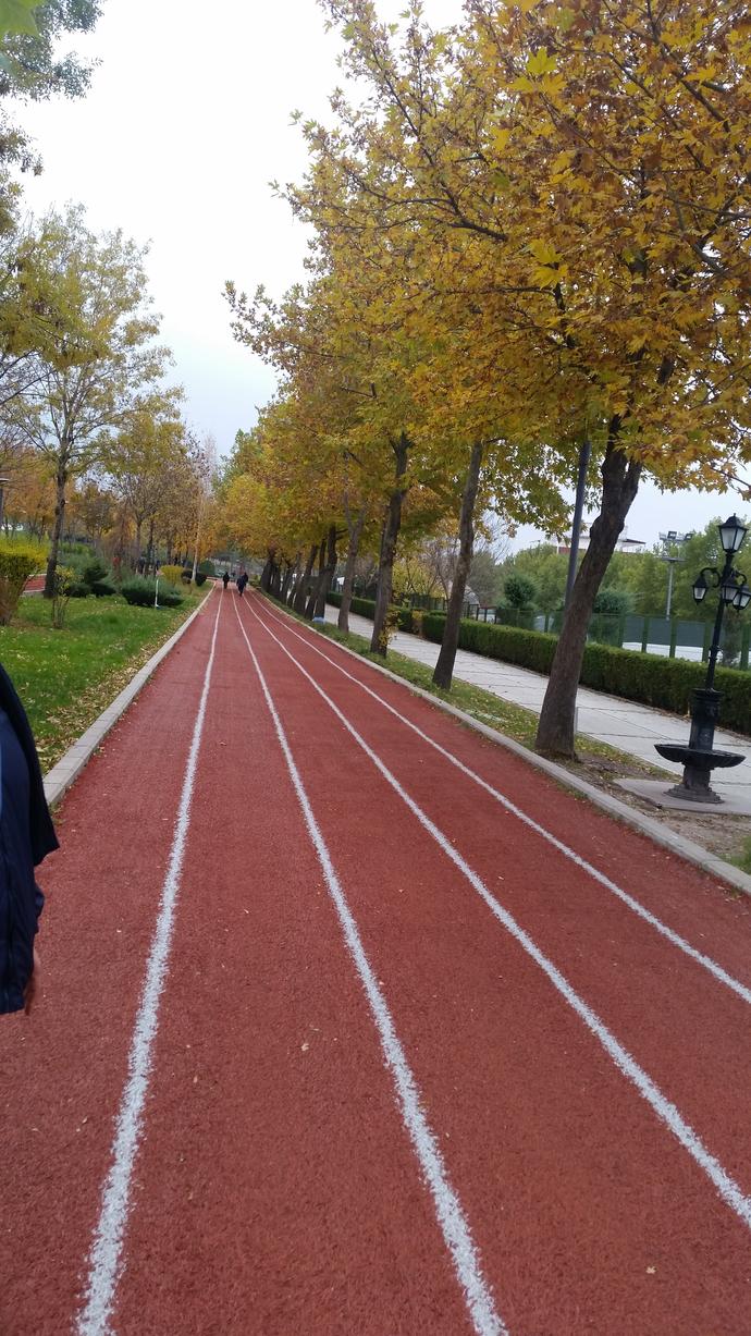 Günaydın KS. Siz Sabah Koşusu yaptınız mı?
