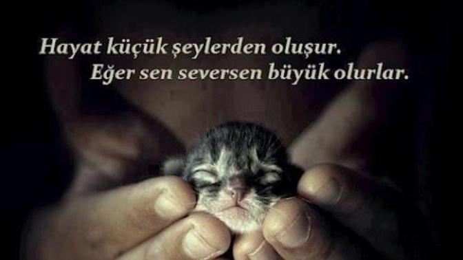 Küçük şeylerle mutlu olabilir misiniz?