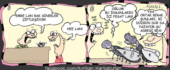 Siz hiç çiftleşen sinek gördünüz mü 😂 ?