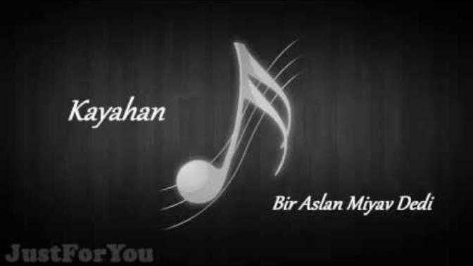 Bir kuşu kedinin ağzından kurtarırsak?