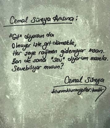 Gururunuz aşkınızın önüne geçer mi ?