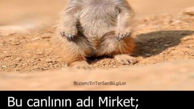Sevdiğinizi başkasıyla görseniz ne yaparsınız?