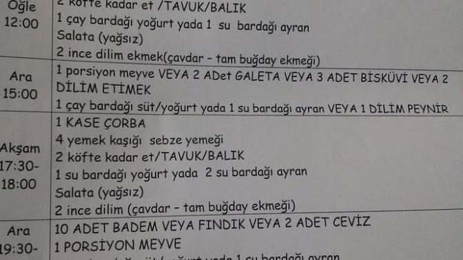 Diyet listem nasil sizce, anlayanlar bakabilir mi?