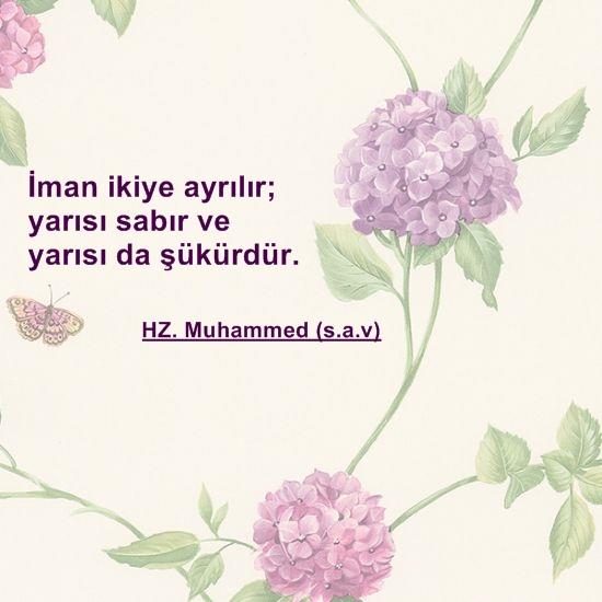 İman iki eşit parçadır. Sabır mı? Şükür mü?