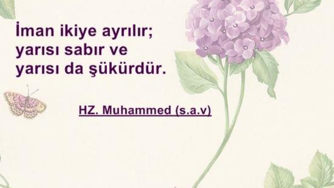 İman iki eşit parçadır. Sabır mı? Şükür mü?