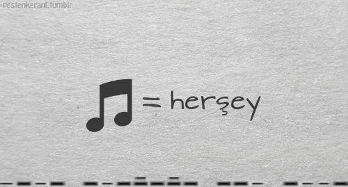 İnsanların müzik zevkine karışıp , yorum yapıyormusunuz?